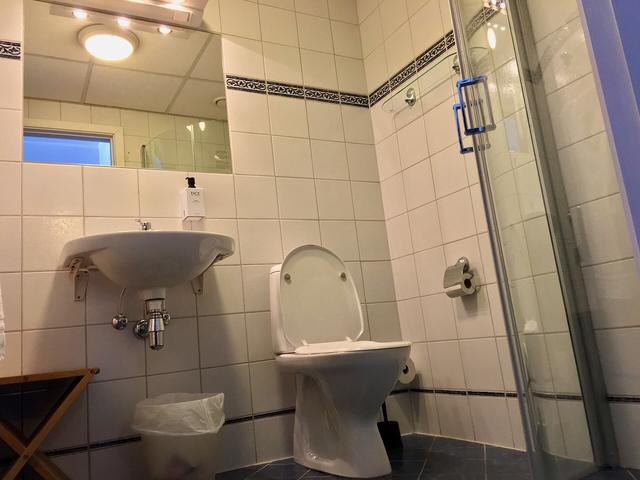 Tiled bathroom with a shower area, basin and toilet