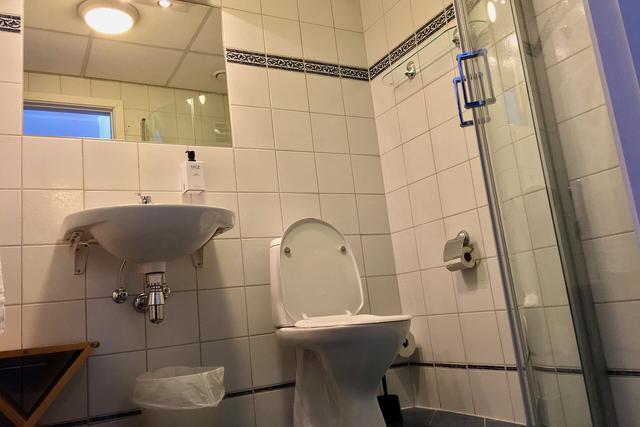 Tiled bathroom with a shower area, basin and toilet